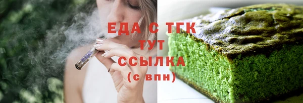 индика Нягань