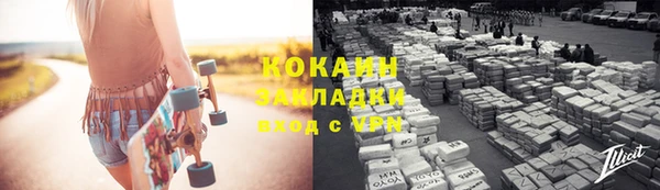 индика Нягань