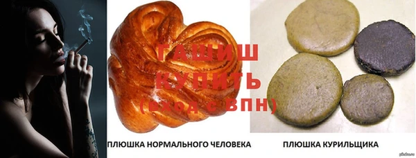 дурь Новодвинск