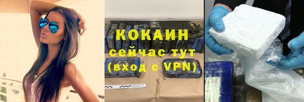 индика Нягань