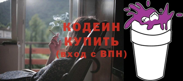индика Нягань