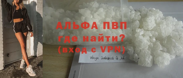 индика Нягань