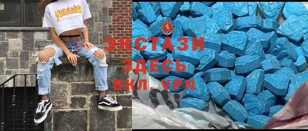 индика Нягань
