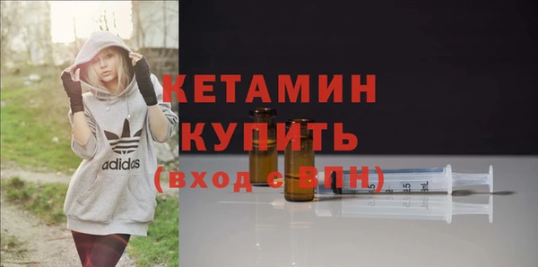 индика Нягань