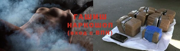 индика Нягань