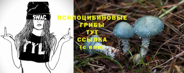 индика Нягань