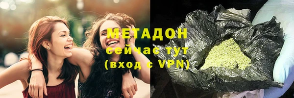 индика Нягань