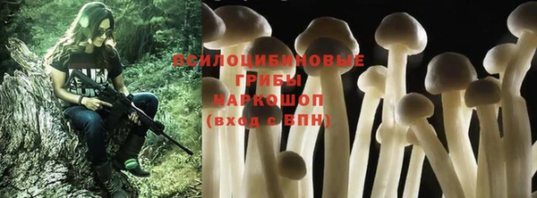 герыч Новокубанск