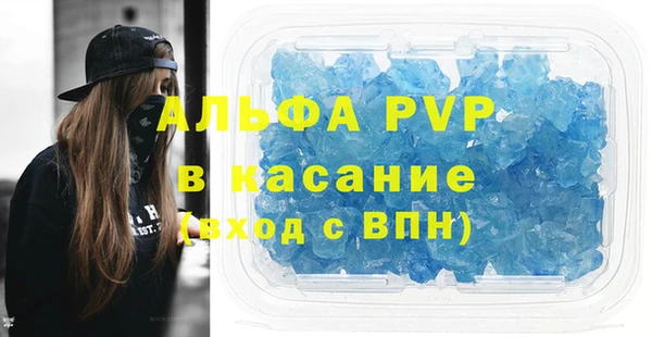 индика Нягань