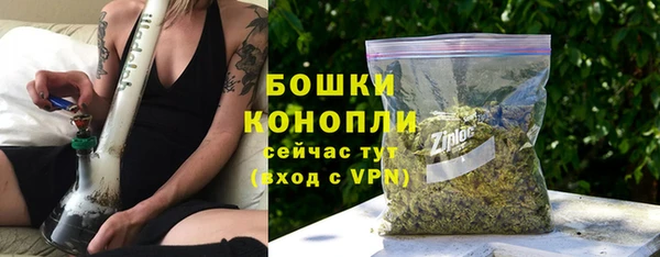индика Нягань