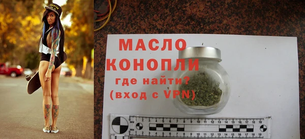 индика Нягань