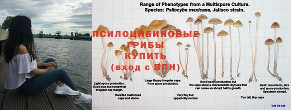 индика Нягань