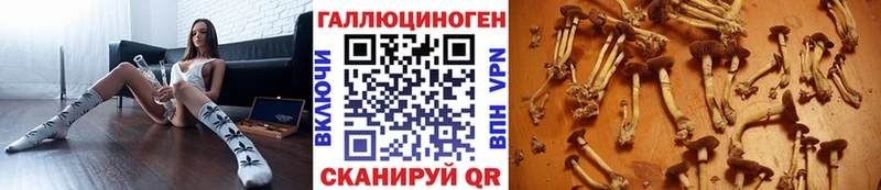 Псилоцибиновые грибы Cubensis  Кыштым 