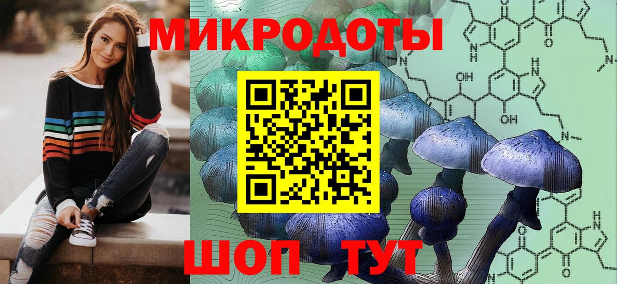 Псилоцибиновые грибы мицелий Кыштым