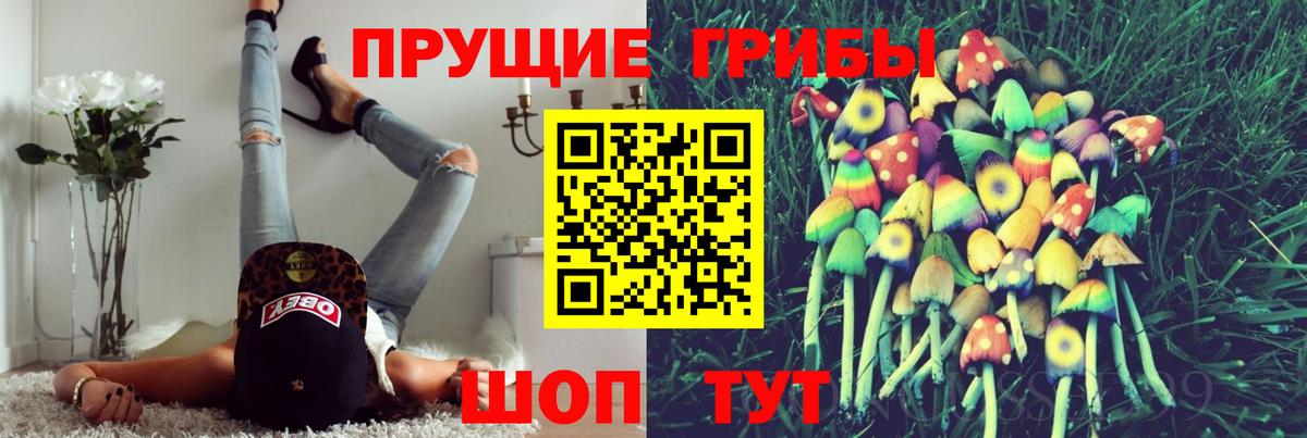 Псилоцибиновые грибы Cubensis  хочу наркоту  Кыштым  Псилоцибиновые грибы GOLDEN TEACHER 